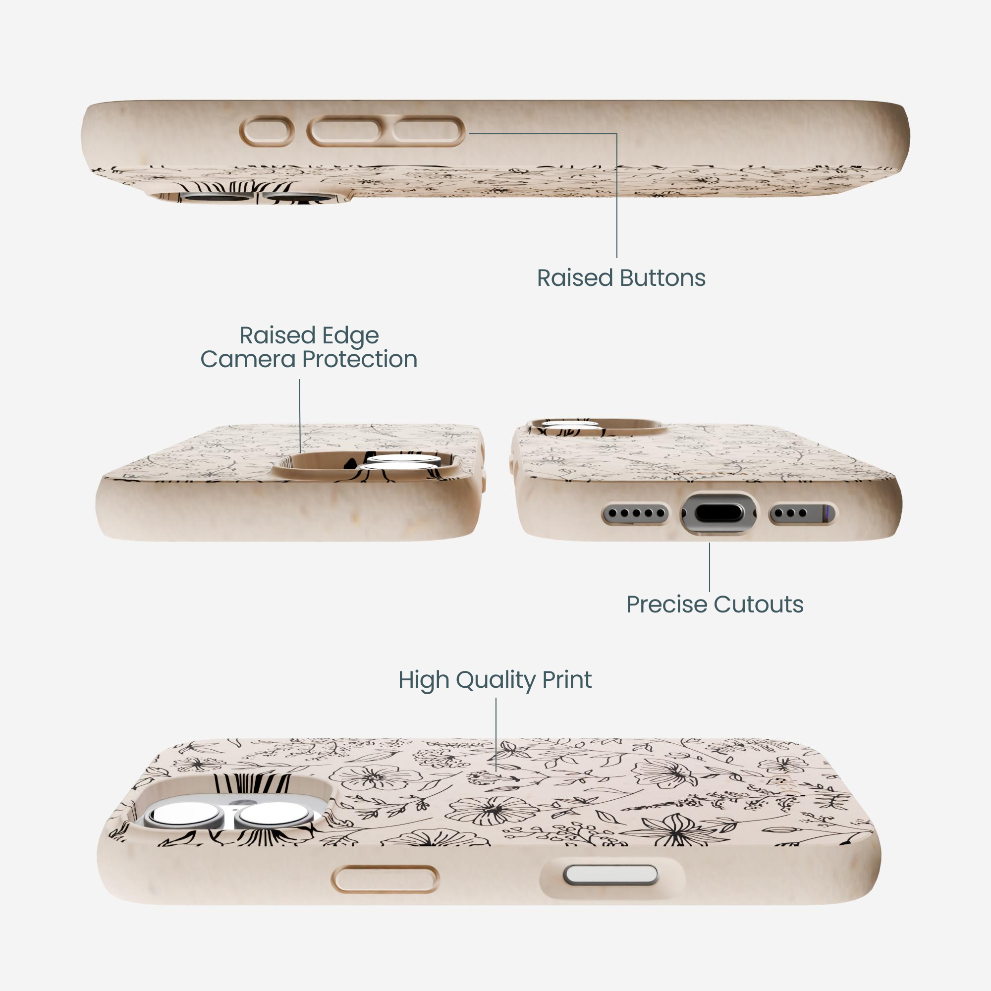 WILD-FLOWER_IP17_Seashell