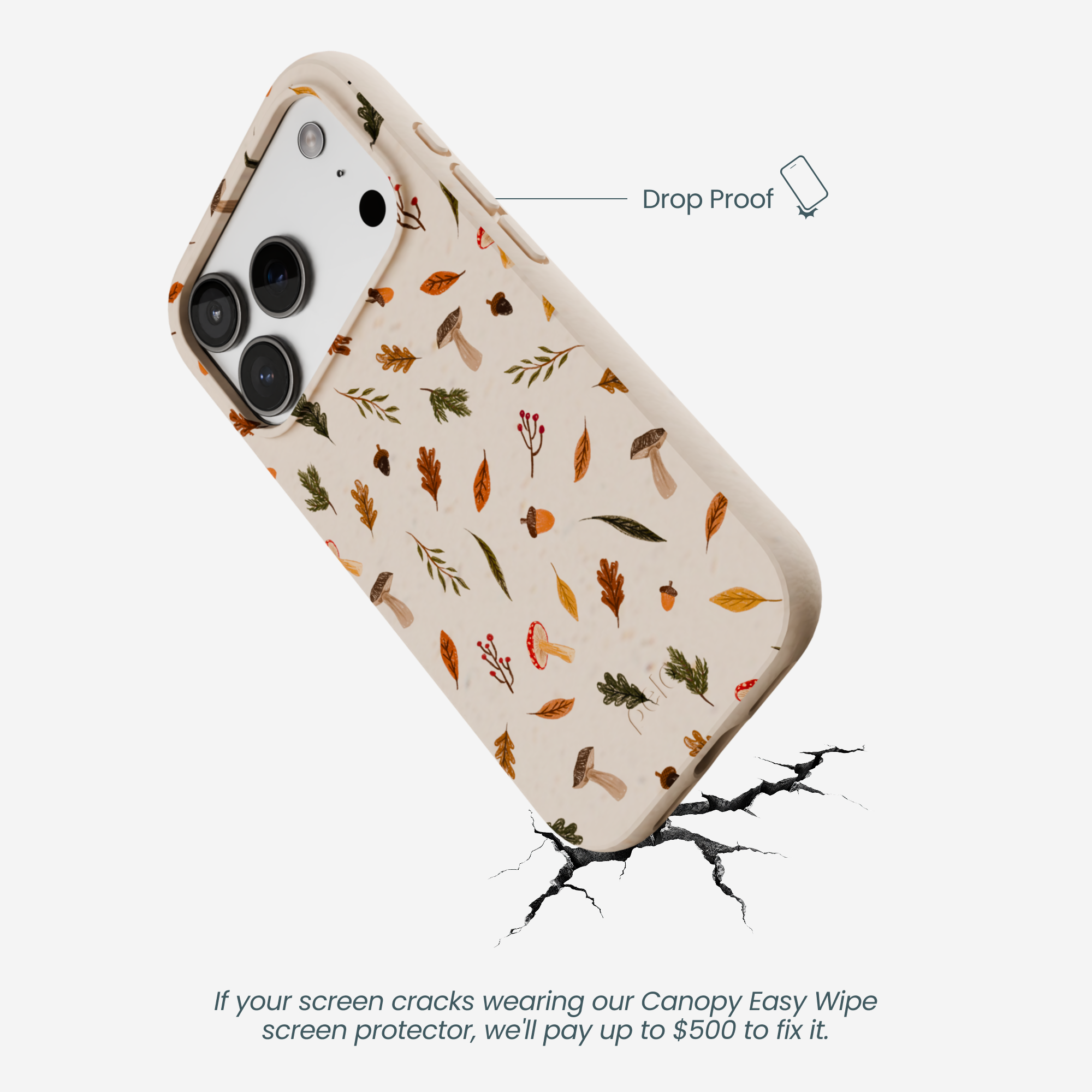 WOODLAND-HARVEST_IP17P_Seashell