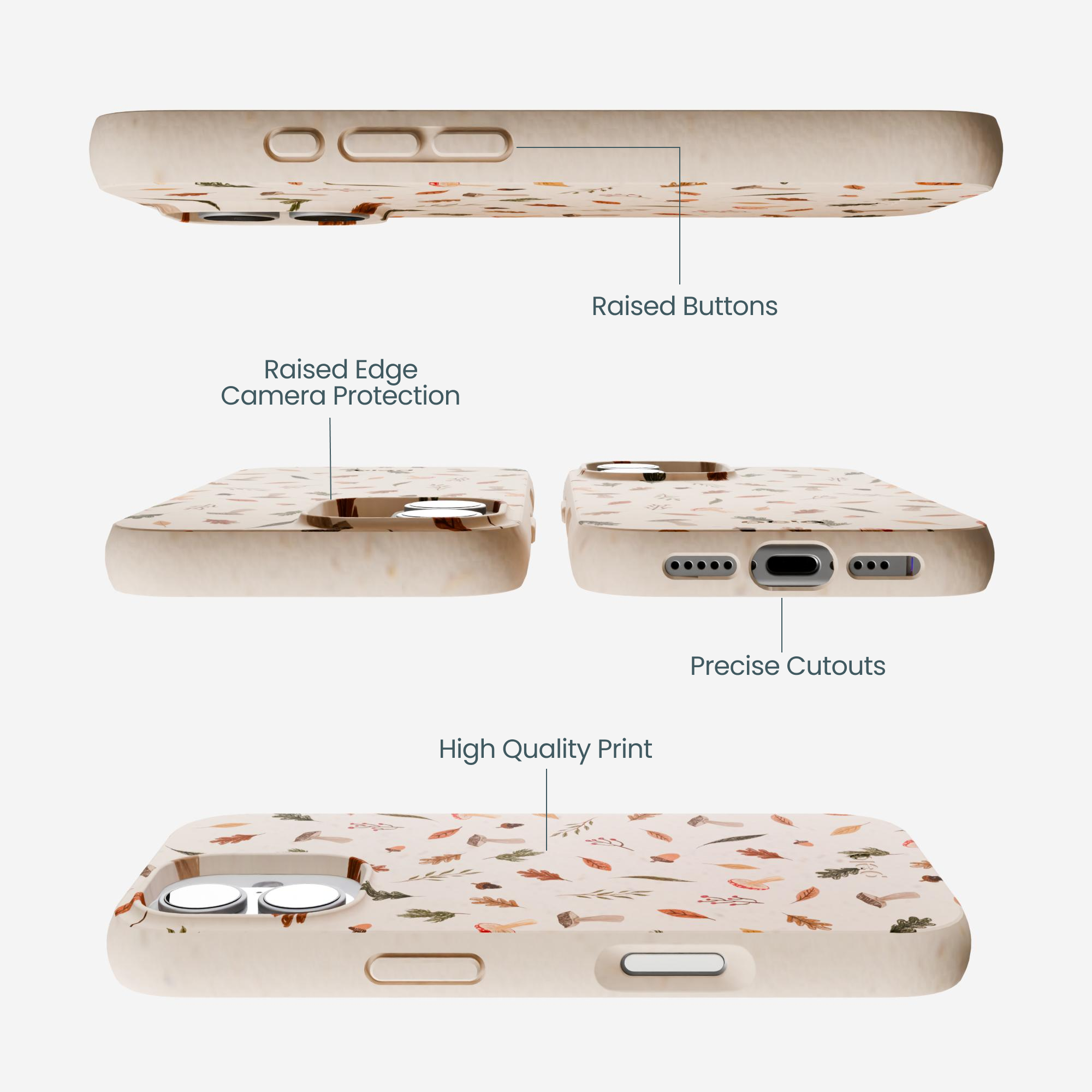 WOODLAND-HARVEST_IP17_Seashell