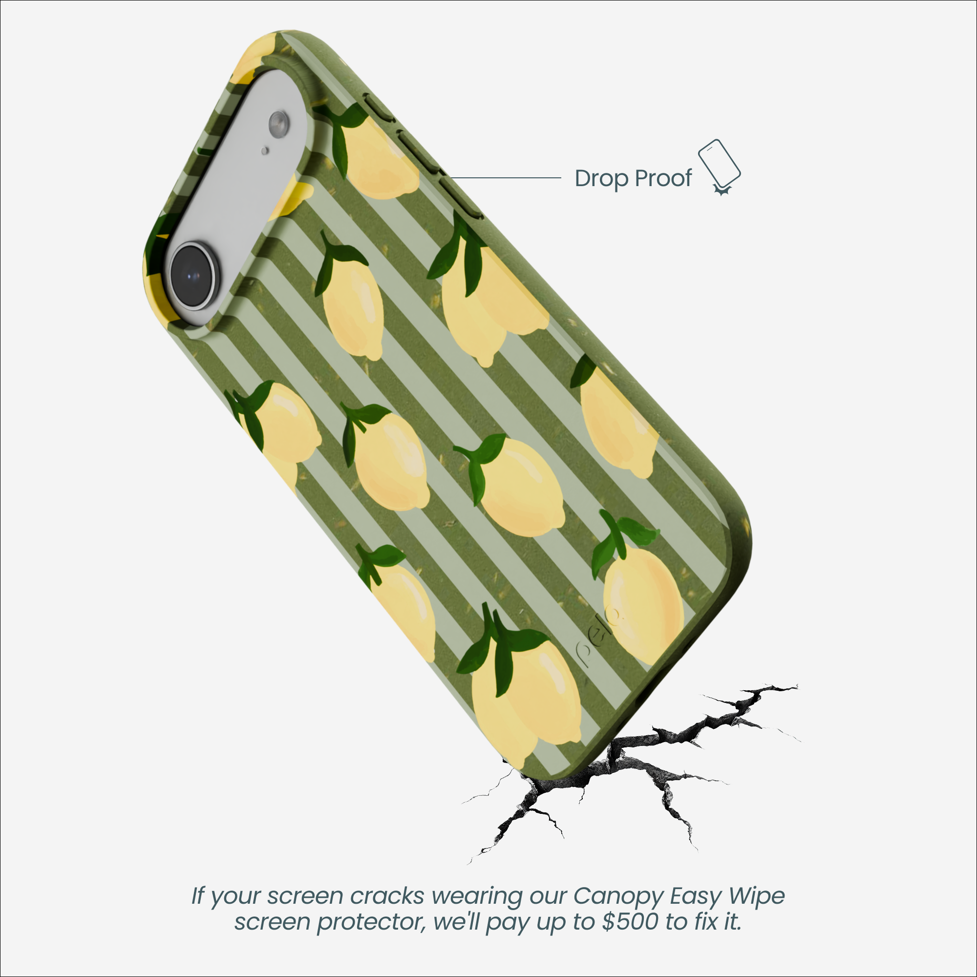 ZESTY-LINES_IP17AIR_ForestFloor