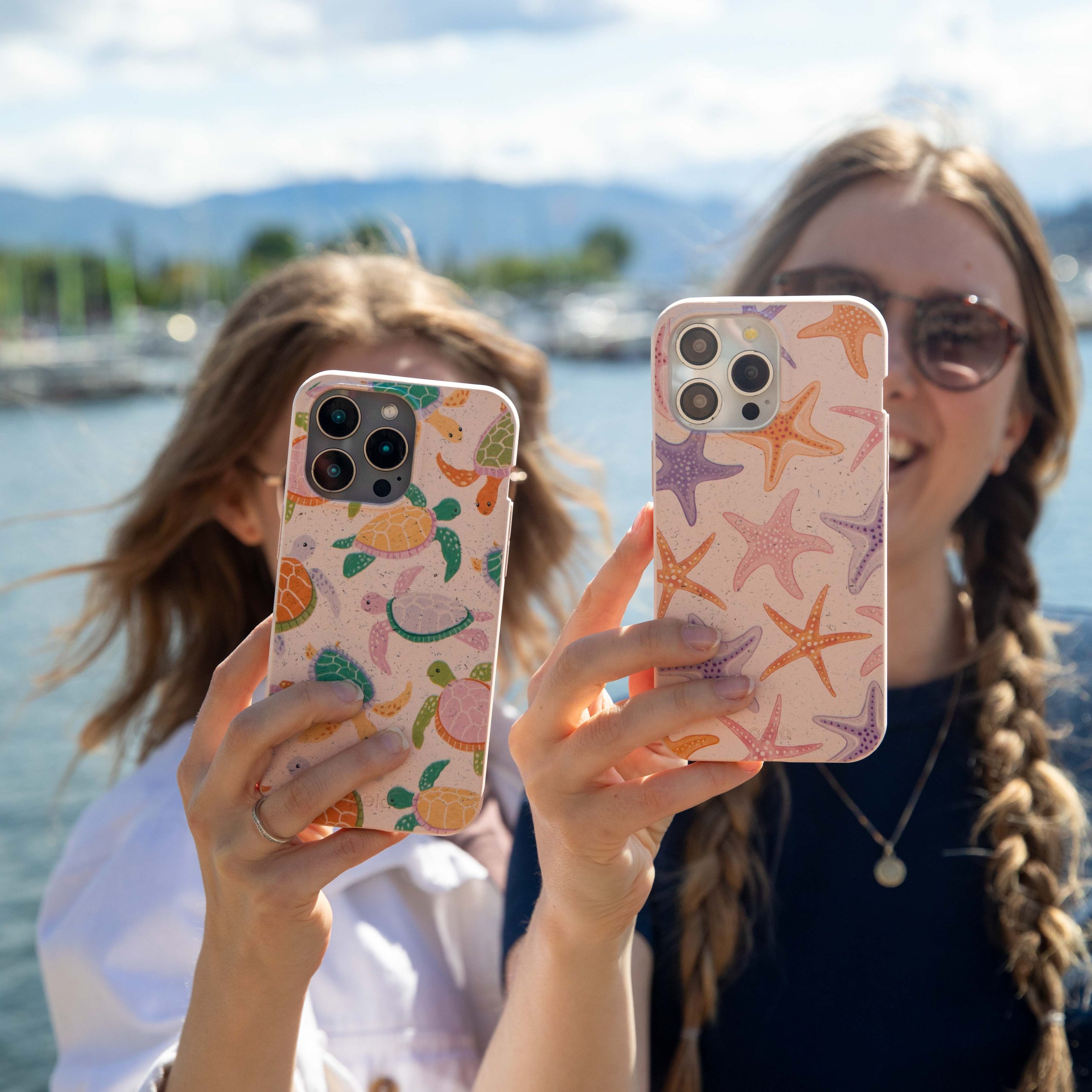 STARFISH-PARADE_S25_Seashell